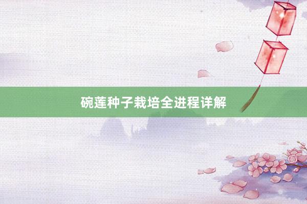 碗莲种子栽培全进程详解