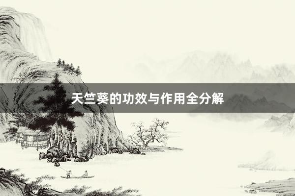天竺葵的功效与作用全分解